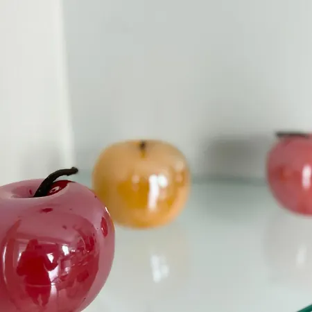 La Houblonniere Alsatian Charm And Comfort Feriehus