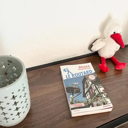 La Houblonniere Alsatian Charm And Comfort Feriehus Niederhausbergen